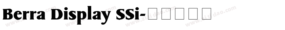 Berra Display SSi字体转换
